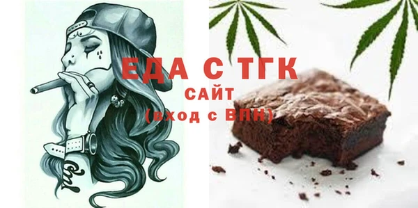 индика Володарск